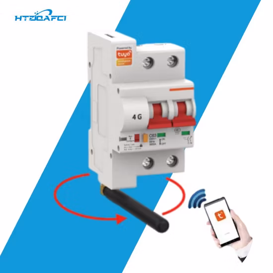 2023 New Design DIN Rail Smart 4G 2 Pole 16A Circuit Breaker (MCB) Remote Control in Smart House Use